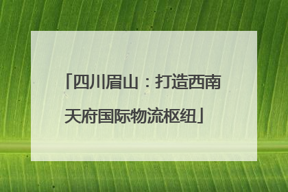 四川眉山：打造西南天府国际物流枢纽